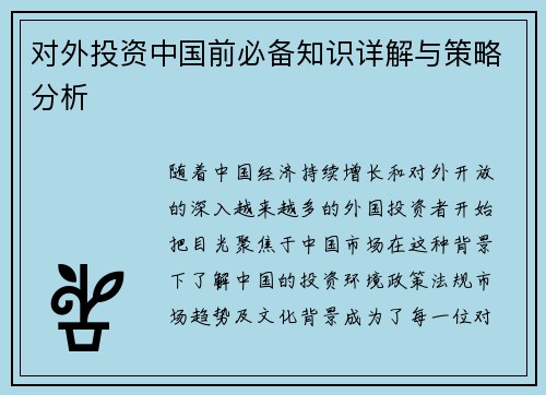 对外投资中国前必备知识详解与策略分析