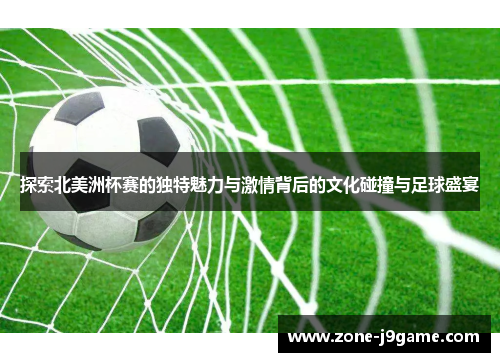 探索北美洲杯赛的独特魅力与激情背后的文化碰撞与足球盛宴