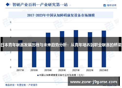 日本青年联赛发展历程与未来趋势分析：从青年培养到职业联赛的桥梁